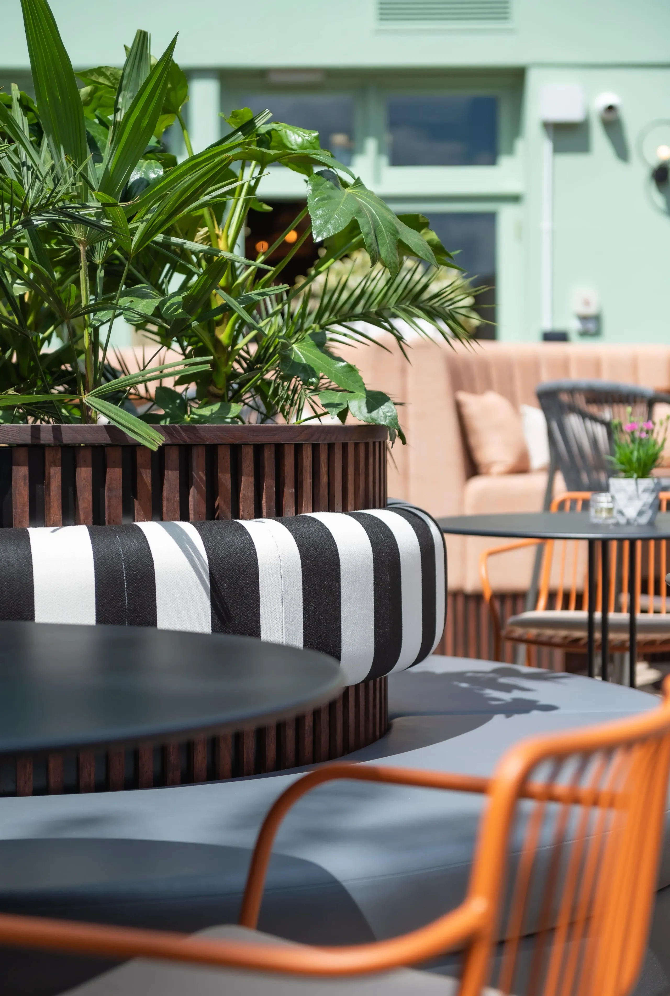 THE GARDEN at Damson & Wilde